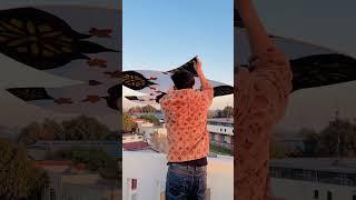 6 Feet Kite Flying  Kite Fight.  #patang #kite #kiteflying