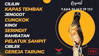 YANG DITUNGGU️SUPER LENGKAP - Request YANA SEJATI SF 123‼️