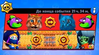 ПРЯТКИ ПАЙПЕР БИБИ ДЖИНА И МОРТИСА МИНИ РЕЖИМ В BRAWL STARS КОНЦЕПТ