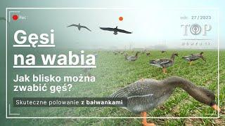 Polowanie na gęsi z bałwankami