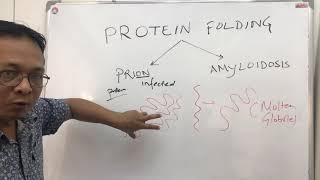 prionprotein foldingChaperonesand AmyloidosisKuru and Creutzfeldt-Jakob disease