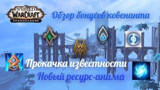 Обзор бонусов ковенанта прокачка известности и новый ресурс-анима WoW Shadowlands.