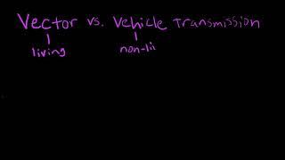 Vector vs. vehicle disease transmission