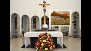 11º Domingo do Tempo Comum - Missa na Igreja de São Gabriel - 16-06-2024