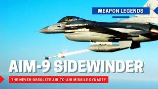 AIM-9 Sidewinder  The never-obsolete air-to-air missile dynasty