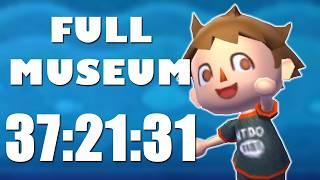 I Completed the Museum as Fast as Possible in Animal Crossing New Leaf