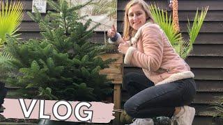 KERSTBOOM GEKOCHT  • Weekvlog #132  Tessa Jansen