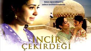 İncir Çekirdeği  Türk Filmi Dram Filmi  Full Film İzle