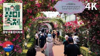 2024 Jungnang Seoul Rose Festival Walk tour 중랑서울장미축제  중랑장미공원