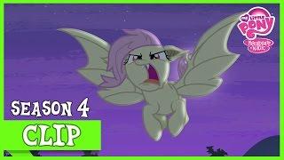 Flutterbat Bats  MLP FiM HD