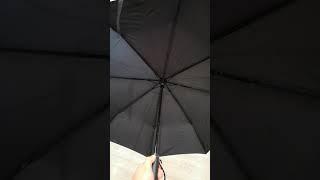 Xiaomi Automatic Umbrella