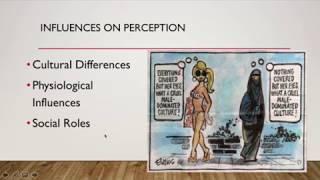 Influences on Perception