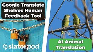 # 208 The Normalization of Language AI