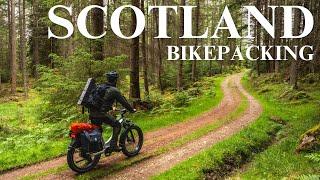 Bikepacking to a Scottish Loch  Wildlife Photography  Beaver
