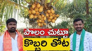 పొలం చుట్టూ కొబ్బరి తోట పెట్టాను  Coconut Farm