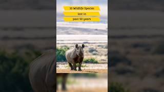 10 Wildlife Species Lost in 50 Years - Climate Bulletin Series -7 #savewildlife #climatechange