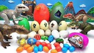 30 Dinosaur Egg With 4 Jurassic World Dino T-Rex Spinosaurus Indominus 공룡 알 깨기