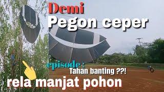 Demi Pegon ceperrela manjat pohon  @potret_54