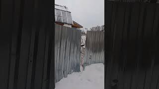Снежная лавина ломает забор