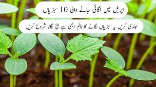 April me ugane wali 10 sabziyan  Name of vegetables sow in april.