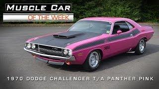 1970 Dodge Challenger TA Panther Pink Muscle Car Of The Week Video #24