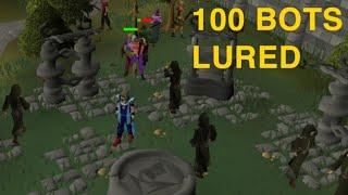 OSRS Killing 100 Bots - I Killed 100 Bots In Old School RuneScape OSRS Bot Busting