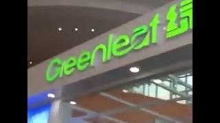 Очереди в магазине Greenleaf. ЭКОтовары для всей семьи.