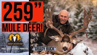 259” Mule Deer - The “Grady Buck”