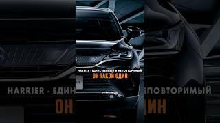 Появление на российском рынке автомобилей индийских марок — «абсолютно возможно». Вы готовы?