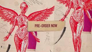 Nirvana - In Utero Deluxe 30th Anniversary reissue promo