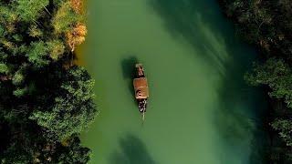 Xixi Chinas first national wetland park  Stories shared by Xi Jinping