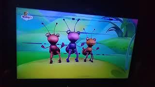Big Bugs Band Oi Oi Oi BabyTV