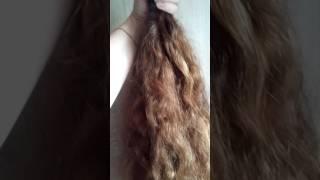Virgin Curly Russian Hair Suppler Directly From Russia