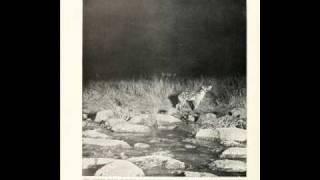 Rare 1909 African Wildlife Photographs