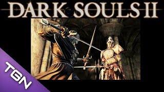 Dark Souls 2 invaded dual swordsman Dark Souls II