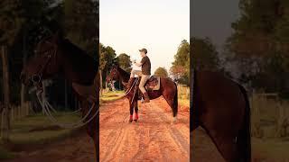 How to mount a horse with style #horsetricks  #horseriding