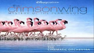 The Crimson Wing Mystery of the Flamingos  The Transformation