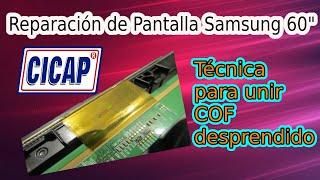 Reparar Pantalla Samsung LED con rayas y pantalla oscura -  Pantalla 60 por COF desprendido - CICAP