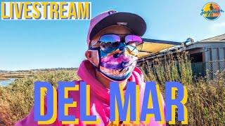 SAN DIEGO LIVE Exploring Del Mar Village