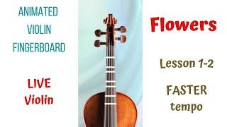   FLOWERS by 𝓜𝓲𝓵𝓮𝔂 𝓒𝔂𝓻𝓾𝓼  Global SENSATION . Violin FB.