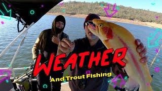 Trout Fishing How Weather Affects The Bite