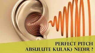 Perfect Pitch Absulute Kulak Nedir ?