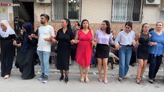 Grani Ağır Delilo 2024 Yeni - Diyarbakırlıların Düğünü Mersin - Koma Berçem