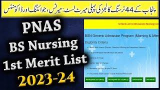 Punjab Nursing Colleges 1st Merit List Displayed  BS Nursing 6000 Seats in 44 Govt Nursing Colleges