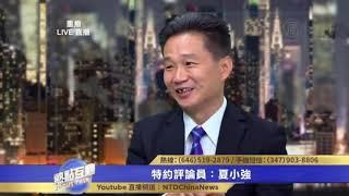 中国猪奴在瑞典学猪叫，美国华人表示震惊！