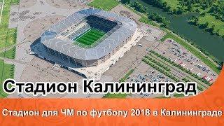 Стадион Калининград или Арена Балтика. Новый стадион ЧМ 2018 в Калининграде