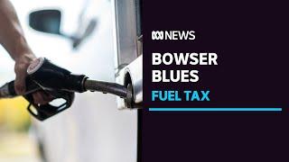 Treasurer urged to cut the 44.2 cents per litre fuel excise  ABC News