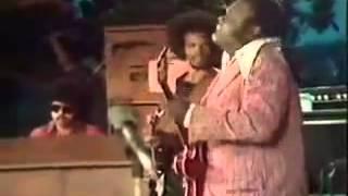 Freddie King Boggie Funk Live