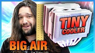 TINY Beast Thermalright Peerless Assassin Mini Cooler Review & Benchmarks