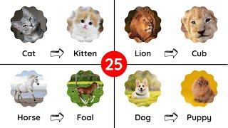 25 Baby Animals - English Vocabulary